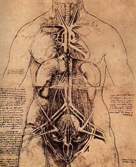 Leonardo da Vinci's drawing