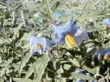 P1010141