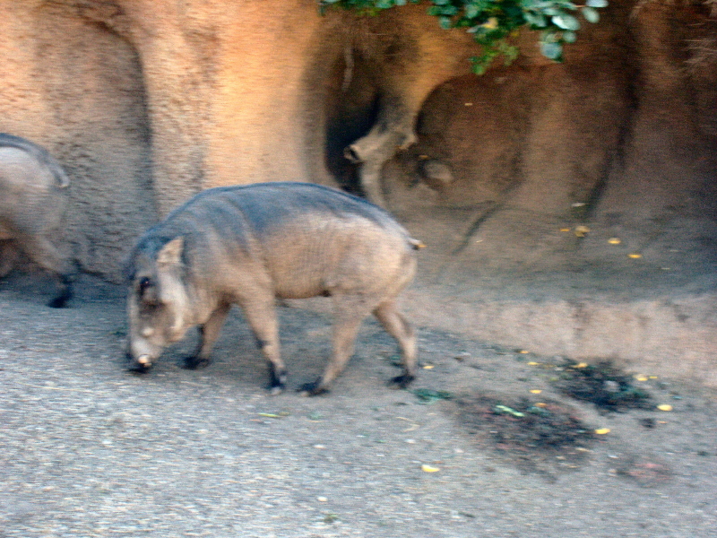 image051